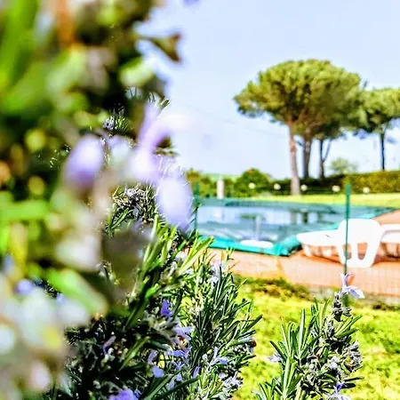 Apartment Raggio Di Sole Castellina Marittima - Bilocale Con Piscina In Toscana Val di Perga